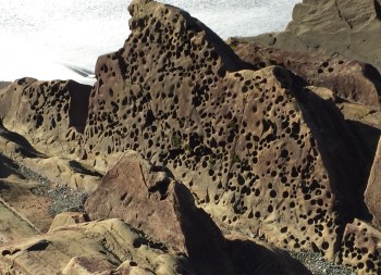 rocks with holes made by piddock clams